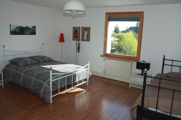 Pour se reposer: une chambre de 20 m2 avec un lit confortable et un sofa. - Location de vacances - Hoenheim