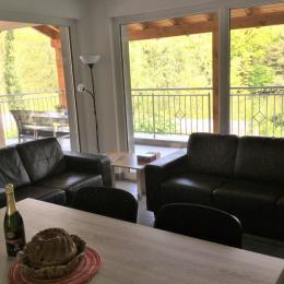 Salon/séjour avec accès terrasse et vue sur la rivière - Location de vacances - La Wantzenau