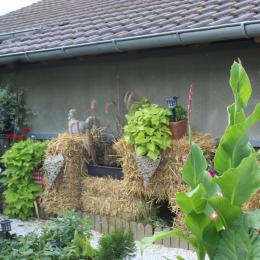  - Location de vacances - Bindernheim