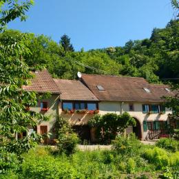 Terrasse couverte - Location de vacances - Rombach-le-Franc