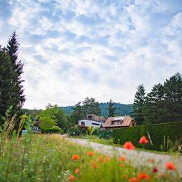  - Location de vacances - Osenbach