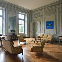 Le salon au Château de Joudes Saint Amour - Location de vacances - Joudes
