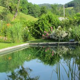 Maison d'Amis; piscine naturelle - Location de vacances - Joncy