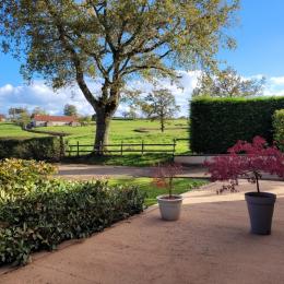 La vue de la terrasse - Location de vacances - Saint-Julien-de-Civry