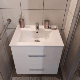 Salle d'eau avec wc, lavabo sèche serviettes et cabine de douche. - Location de vacances - Aix-les-Bains