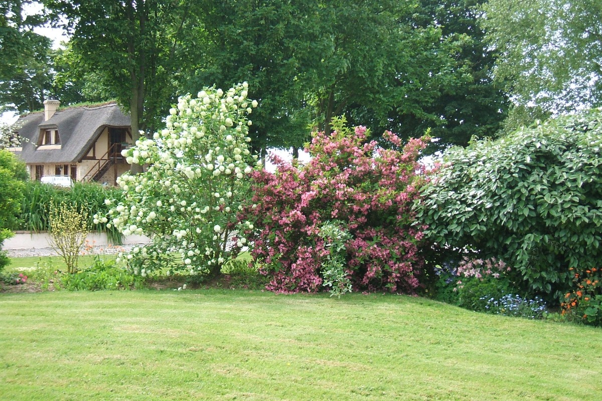 jardin - Location de vacances - Le Tilleul