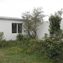 Le jardin - Location de vacances - Le Crotoy
