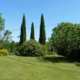 Jardin arboré - Cestayrols - Tarn - Location de vacances - Cestayrols