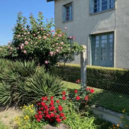 Maison indépendante - terrain clos - proche de Castres et Puylaurens - Tarn - Occitanie - Location de vacances - Sémalens