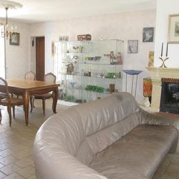 salon avec cheminée, TV écran plat   - Saint Juéry - Tarn - Location de vacances - Saint-Juéry