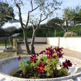 Les Vignes - Le Clos d'Aimé, La Garde-Freinet, Var - Location de vacances - La Garde-Freinet