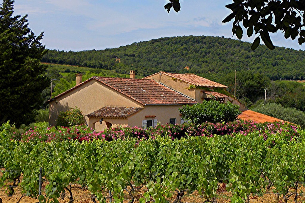 Au milieu des vignes, Gîtes de la Cagnardette - Studio Adret (Var, Provence, Côte d'Azur) - Location de vacances - Grimaud