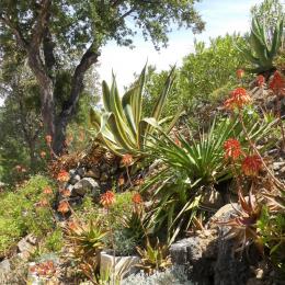 Jardin méditerranéen - Location de vacances - Sainte-Maxime