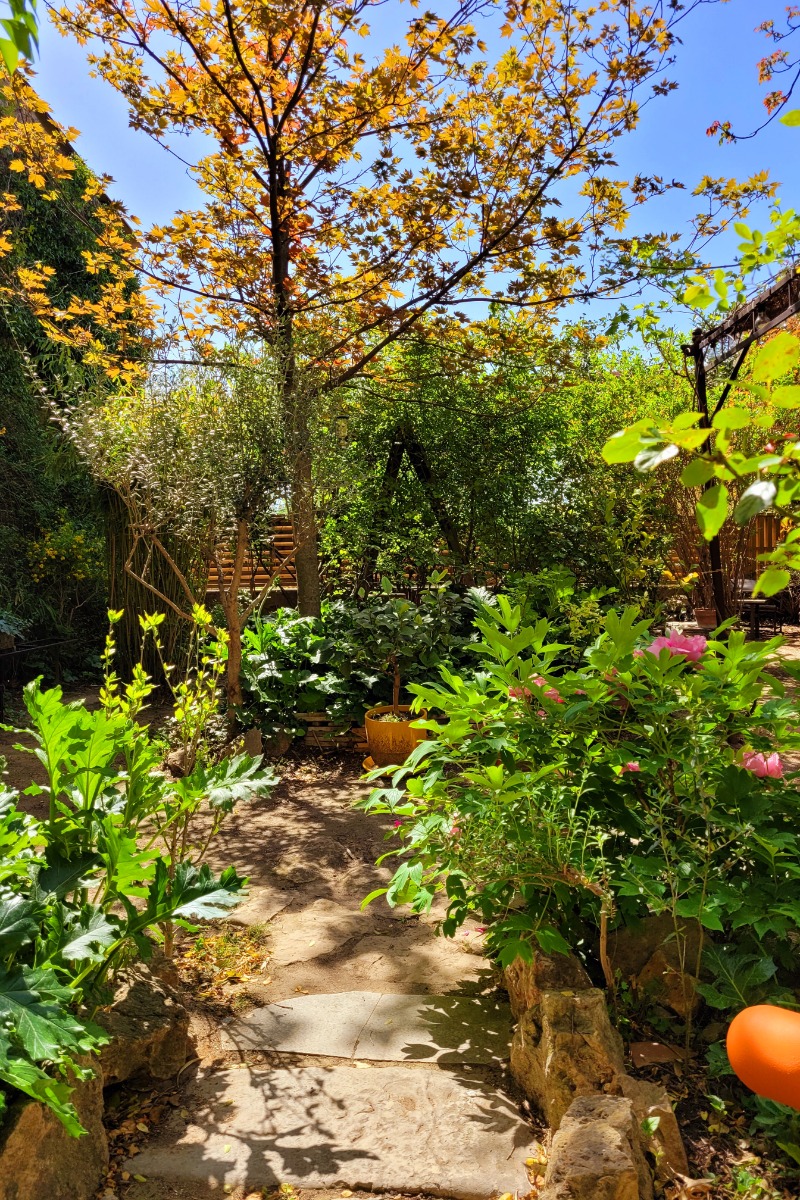Le jardin, Au Puits de la Fontaine - Var, Provence - Chambre d'hôtes - Tavernes