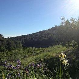 Vue à proximité - Location de vacances - Le Barroux