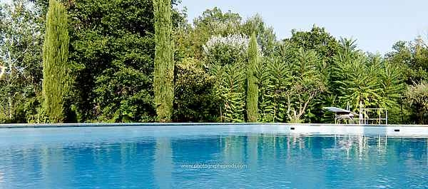 Vue piscine  coté fosse plongeon de 3m et son plongeoir - Location de vacances - Carpentras
