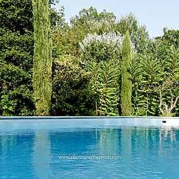 Vue piscine  coté fosse plongeon de 3m et son plongeoir - Location de vacances - Carpentras