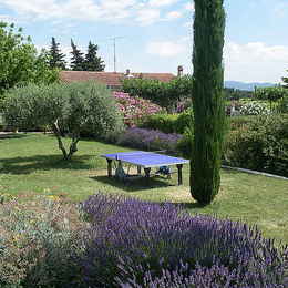  - Location de vacances - Visan