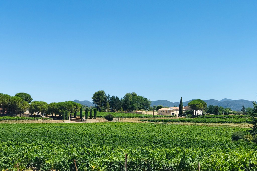 Entourés de vignes : calme et vue panoramique - Location de vacances - Vaison-la-Romaine