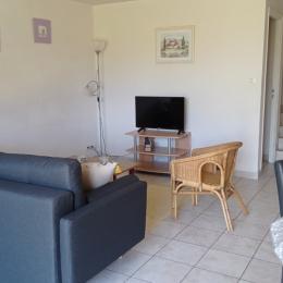Salon  - Location de vacances - La Gaubretière