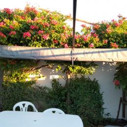 patio avec pergola - Location de vacances - Bretignolles sur Mer