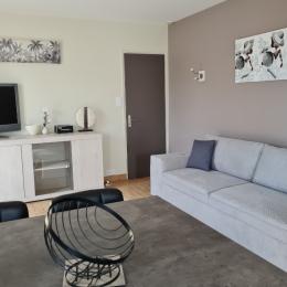 Salon avec canapé confortable 4 places - Location de vacances - Aubigny-Les Clouzeaux