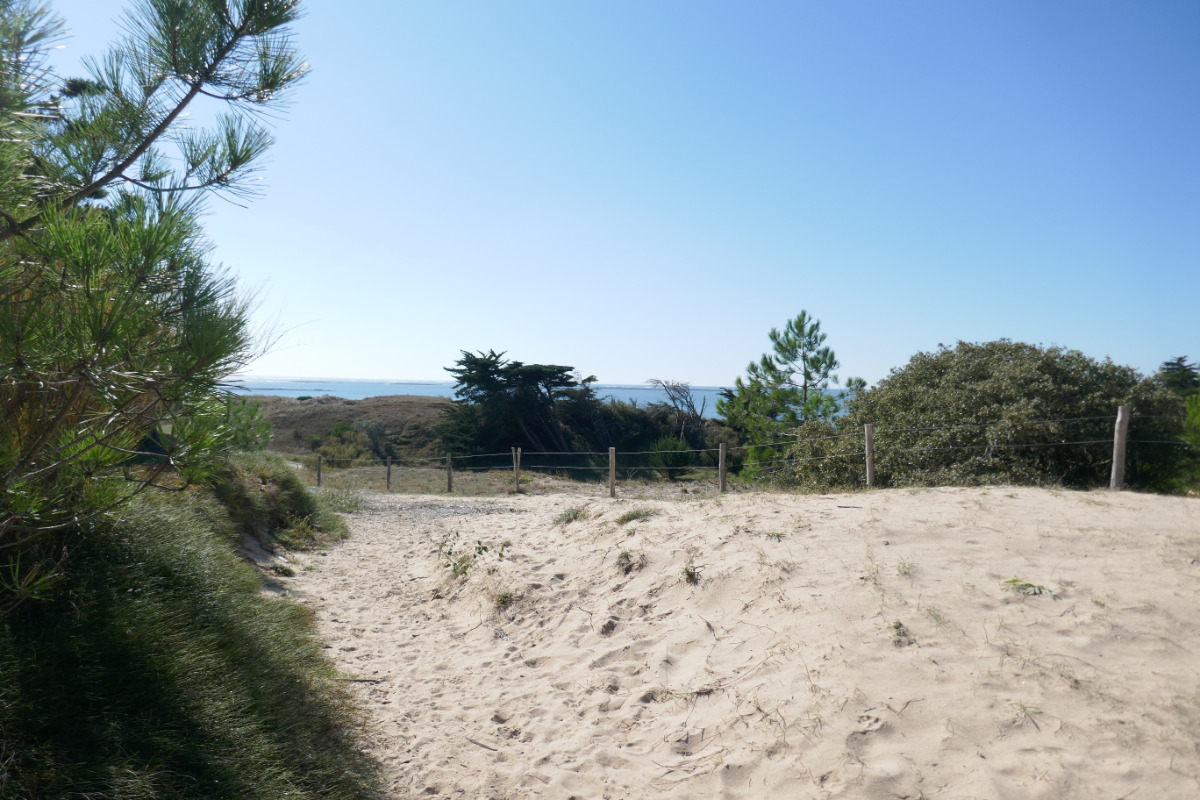 Dunes - accès direct à la plage - Location de vacances - L'Épine