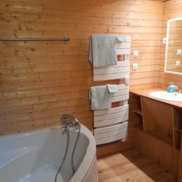 Salle de bain de la chambre 2 - Location de vacances - Monthureux-sur-Saône