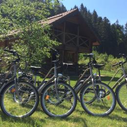 Chalet local skis, vélos, autres Hiver - Location de vacances - Gérardmer