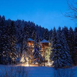 Tribu Perchée à la tombée de la nuit Bol d'Air (c) Michel Laurent - Chambre d'hôtes - La Bresse