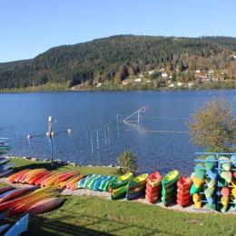 Appartement vue lac de Gérardmer hiver - Location de vacances - Gérardmer