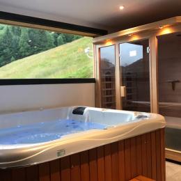 Le SPA et le Sauna - Location de vacances - La Bresse