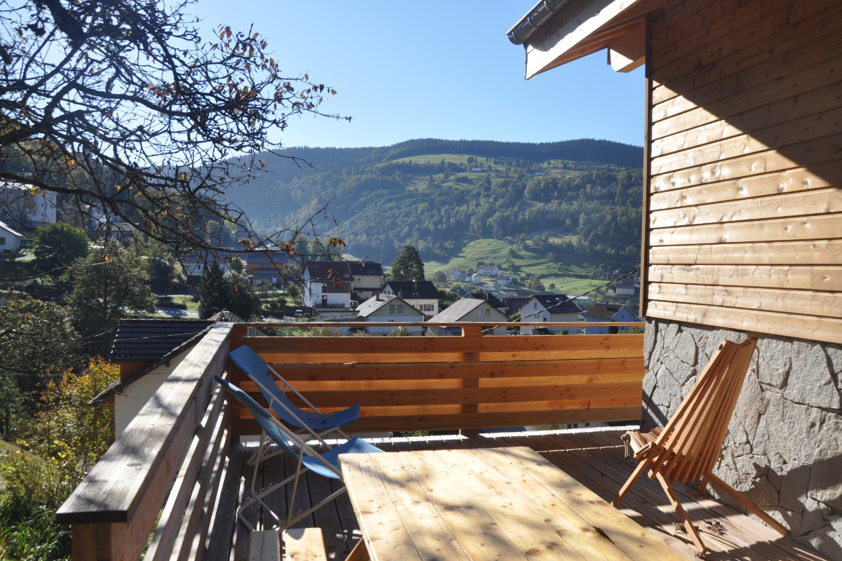 Vue depuis la terrasse -  Chalet des Rives - Location de vacances - La Bresse