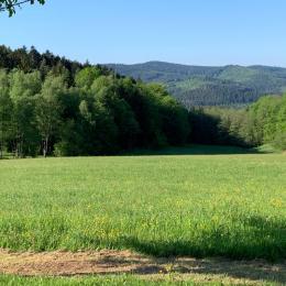 Les environs proches - Gite la Belle Vue - Location de vacances - Lusse