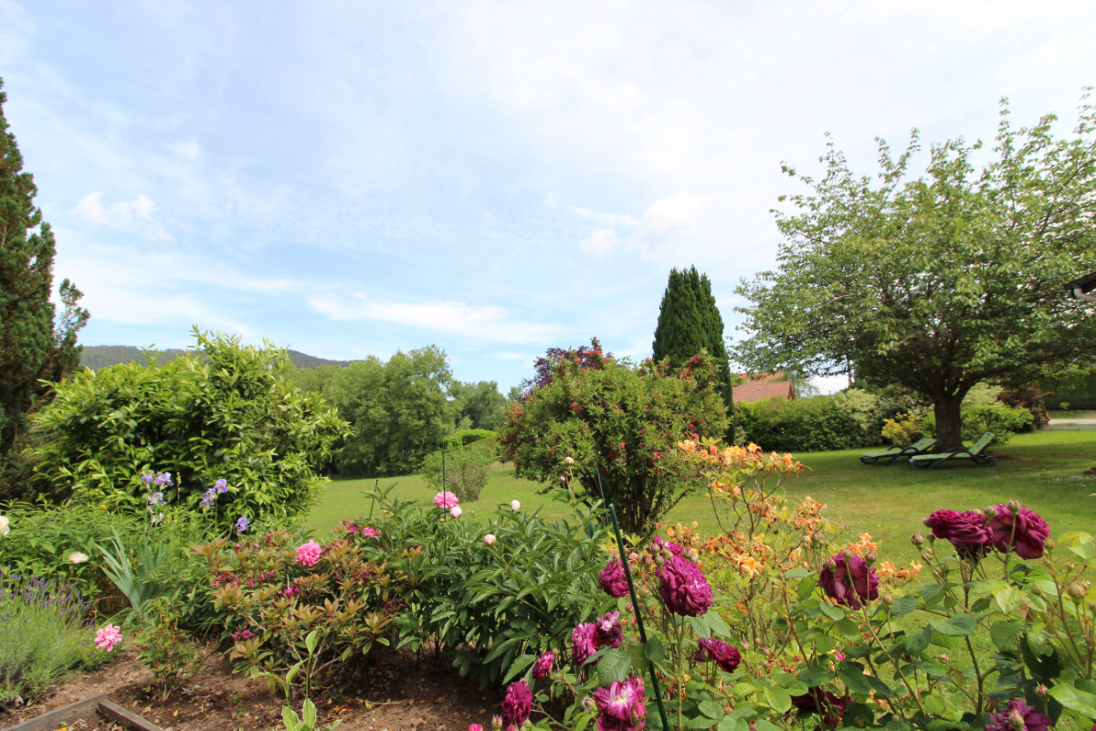 Jardin  - Location de vacances - Saint-Dié-des-Vosges