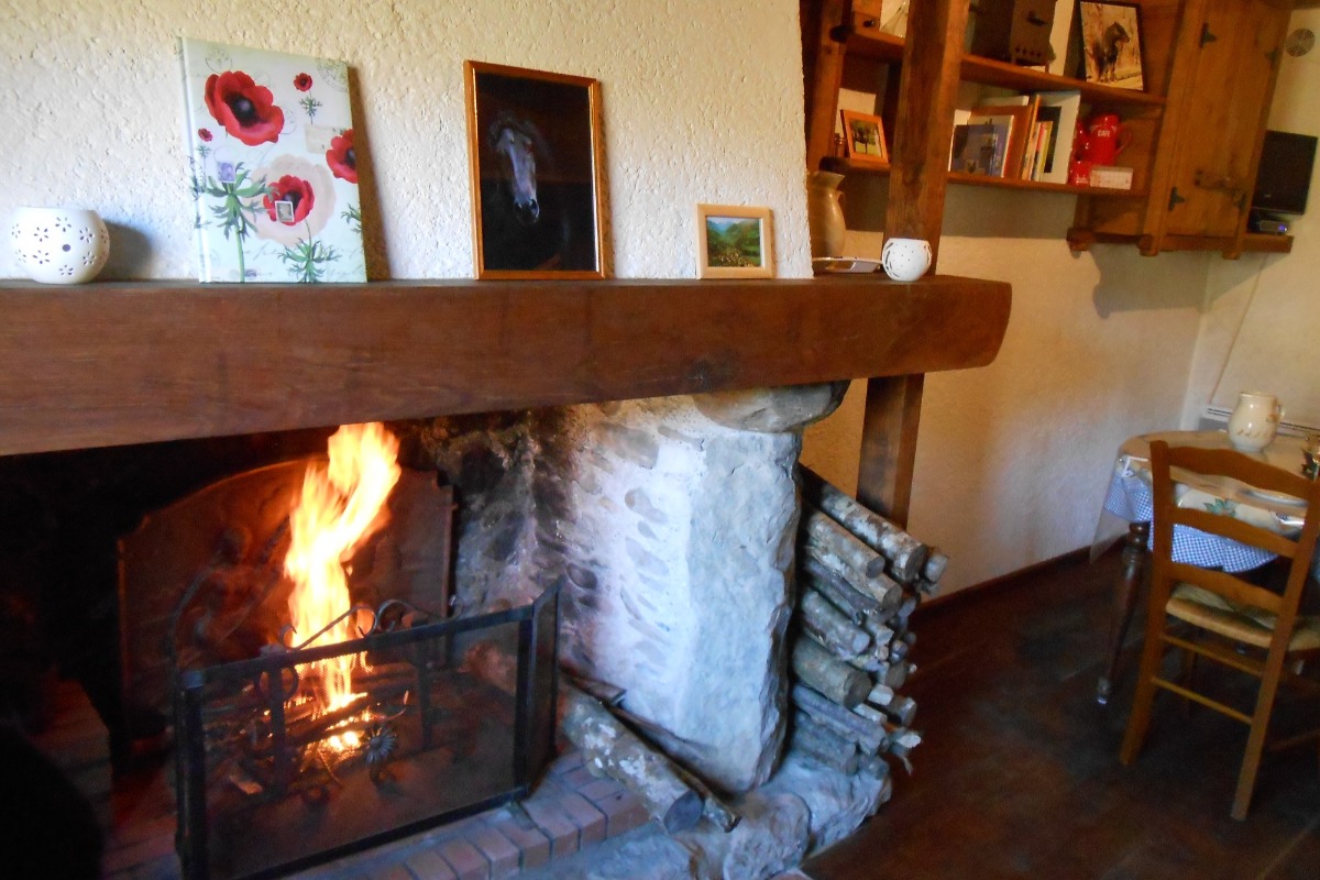 Agréable cheminée réalisée artisanalement  un régal - Location de vacances - Bonac-Irazein