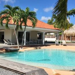 villa carouge avec sa piscine lagon  - Location de vacances - Le François