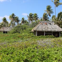  - Chambre d'hôtes - Fakarava