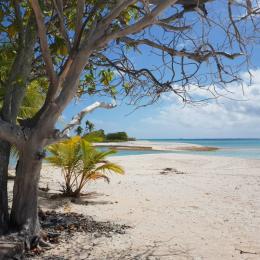  - Chambre d'hôtes - Fakarava